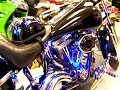 Hotshoe Custom Evo-bob Hotshoe Custom Evo-bob