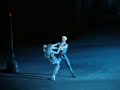 Ryzhkina Volchkov Allash