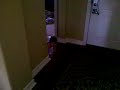 video-2010-07-10-09-30-44
