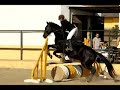 Deb & Romero .. 80cm Jumping Competition