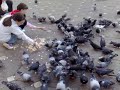 Nokia N95 8GB video sample
