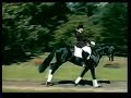 de luxe as a three year old at the psi in germany. schooling session with olympian lisa wilcox.