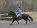 Hoppa M�nljus 25/10 08