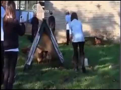 how to decide where to put the tv