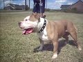 Thugline Haides new video!!