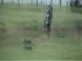 alma-Ne-MX-pitbike-c