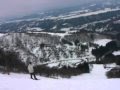 動画を再生