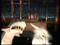 Craig Ferguson and Puppets yodeling compliation
