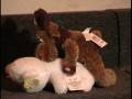 videos de TMO Stuffed Animal