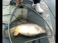carp fishing carp fishing