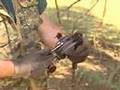 PRoblem Coyotes Part 5