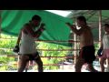 Western Boxing class @ Tiger Muay Thai & MMA Training Camp