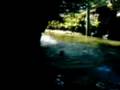 videos de melvyn