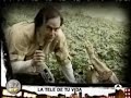 Homozapping - El hombre y la tierra