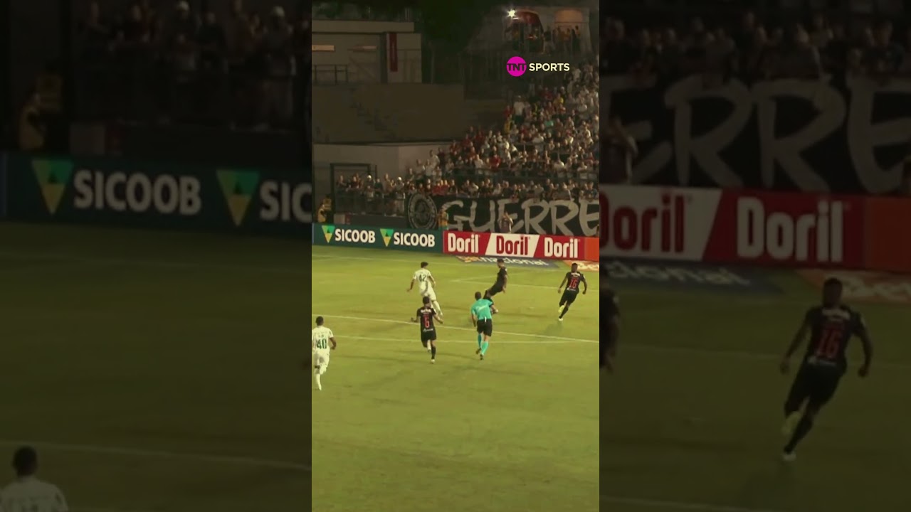 PASSE ABSURDO DO ANDREAS E MAIS UM GOL DO FLACO! O VERDÃO TÁ VOANDO! 🔥 #shorts