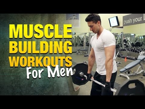 how to grow arm muscle