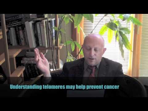 Dr Noa Health Update January 4, 2012 Telomeres