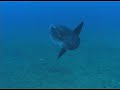 Underwater Project 07 - Junkers Ju 52 Underwater Project 07 - Junkers Ju 52