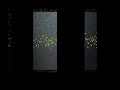 VT RPN VIDEO.mov