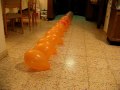Balloon Death Row - CNI 500mW Green Laser Popping 23 Balloons