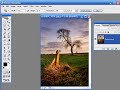 Using the crop tool effectively in Photoshop/Elements