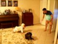 chloe vs. aleigh