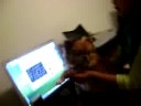 mi buddy con la f�brica