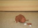 BLOB MOVIE BLOB MOVIE