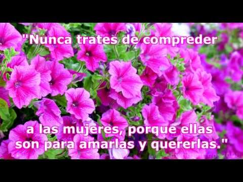Dia De La Mujer 2014 frases pensamientos reflexiones para Compartir en Facebook