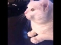 https://youtu.be/68A1-ctBkm0