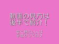 【おなにー】【サンプル動画】車の中で犯されちゃう娘に興奮!