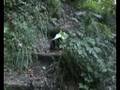 AXIAL AX10 Rock Crawler Burg Wildenstein