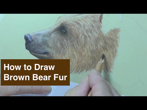 how to draw fur
