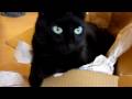 Panasonic Lumix DMC-TZ7 - 1st Test