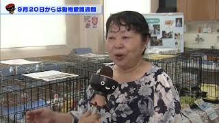 【第24回】９月２０日からは、動物愛護週間　～人と動物が共生できる社会の実現に向けて～