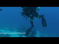 Immersione Sodfa (Egitto)