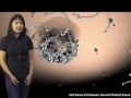 Janet Iwasa (Harvard): Animating Cell Biology