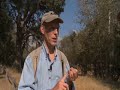 Yosemite Scenic Wonders - Segment 2