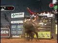 Robson Palermo on Fender Bender