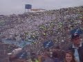 Eu canto sou palmeiras até morrer