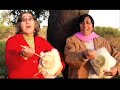 Mulheres da Zebreira