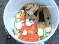 How To Make Your Yard Eco-Friendly