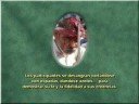 Orgía de sangre - (Los Horrores del Islam) Cap. 3