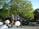 Disneyland DUMBO Ride