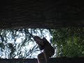 Rope Swing
