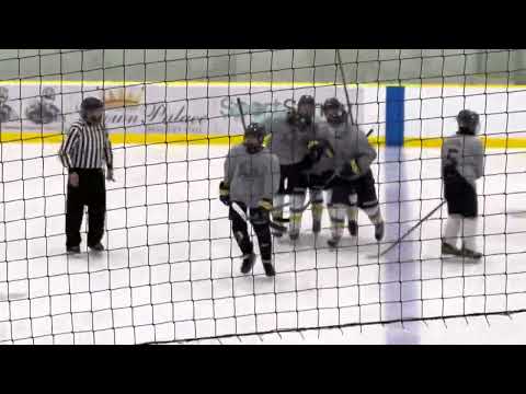 Exhibition PHL NWB v HSL Vancouver Whales Grey No.9 , Backhand Fall Snipe Nov 26rd 2022