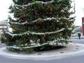 videos de the christmas tree downtown nampa