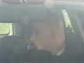 Białostocka policja filmuje