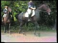 Dailly - Man�ge Henriet