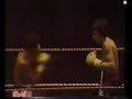 round 2 of the fight

1977-07-30 stade louis ii, monte carlo, monaco

wbc middleweight title
wba middleweight title